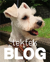 犬の首輪ブログ