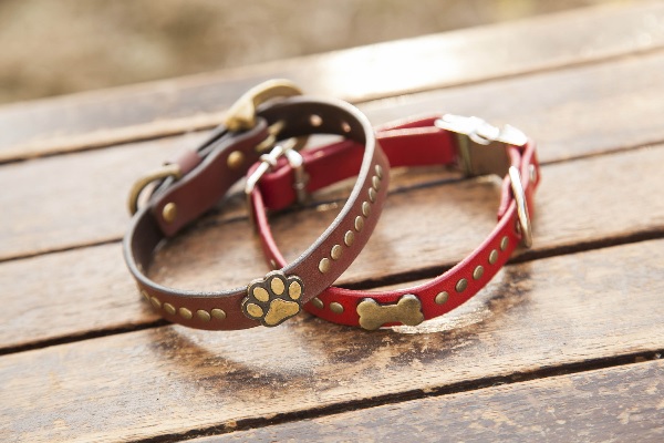 犬 首輪 kb001-005