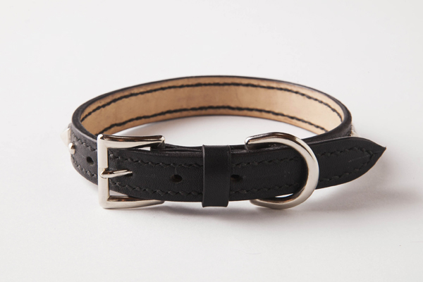 犬 首輪 mb001-002