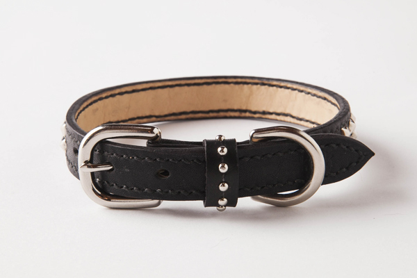 犬 首輪 mb002-002