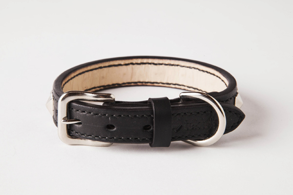 犬 首輪 mb004-002