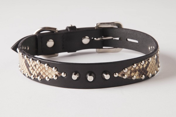 犬 首輪 mbp001-001