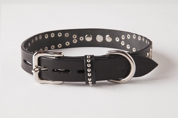 犬 首輪 mbp001-002