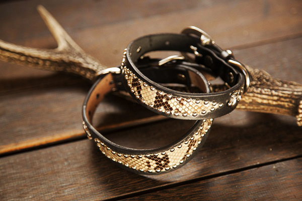 犬 首輪 mbp002-005