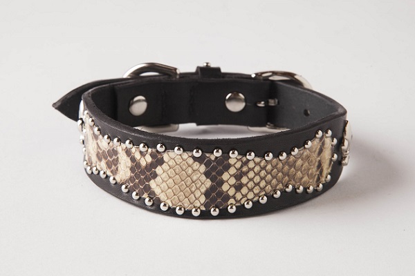 犬 首輪 mbp006-002