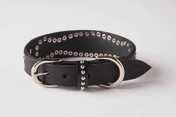 犬 首輪 mbp006-003