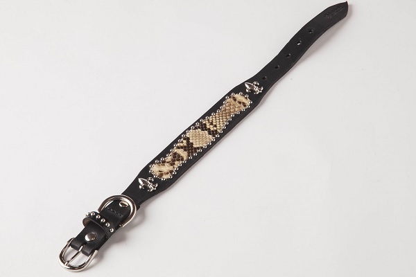 犬 首輪 mbp006-005