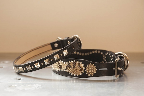 犬 首輪 mbp008-002