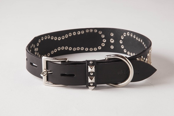 犬 首輪 mbp008-004