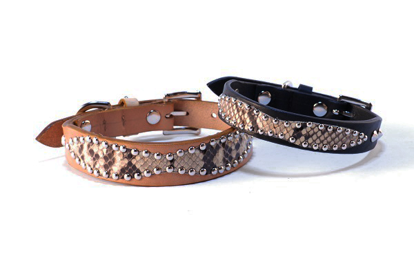 犬 首輪 mbp010-001