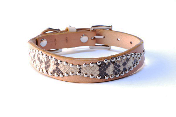 犬 首輪 mbp010-002