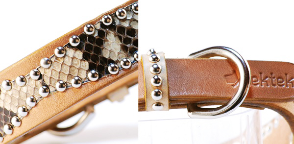 犬 首輪 mbp010-004