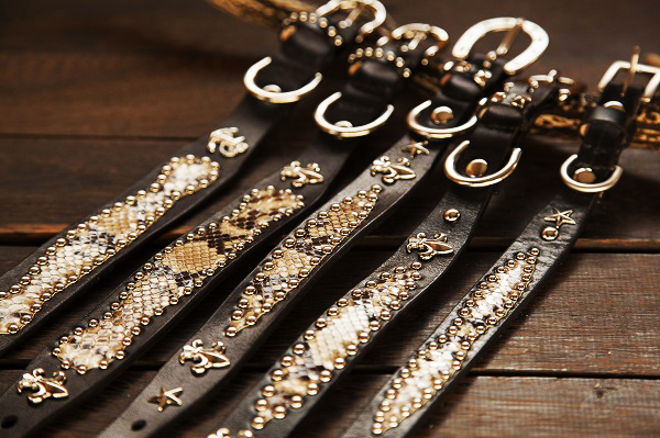 犬 首輪 mbp012-001