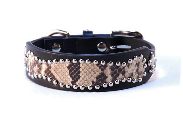 犬 首輪 mbp012-002