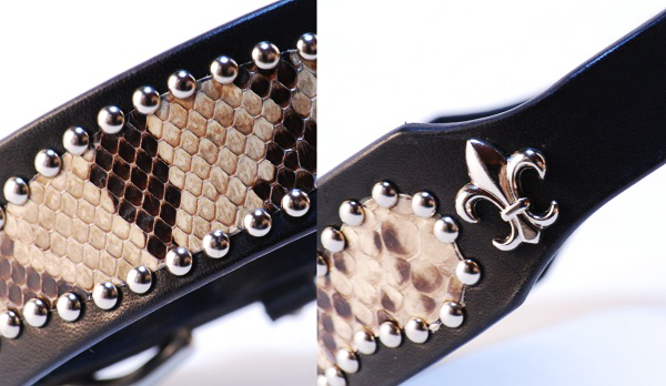 犬 首輪 mbp012-004