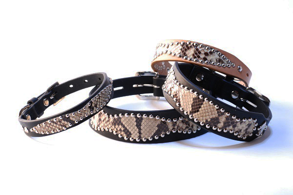 犬 首輪 mbp012-005