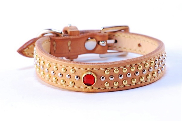 犬 バックル首輪 mb018-0011