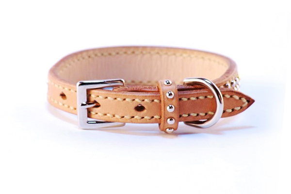 犬 バックル首輪 mb018-0022