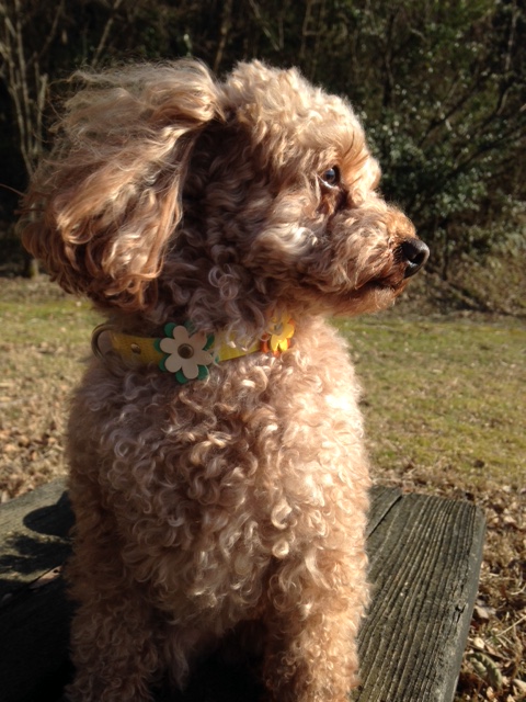 12-1池田直美様 (2)