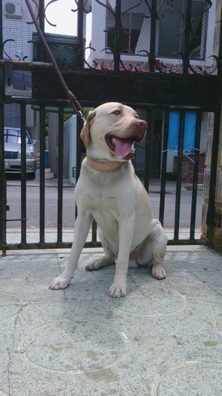 15-1沖縄　金城様