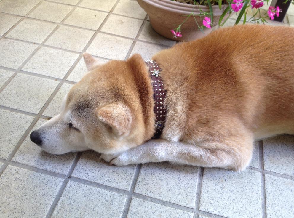 18-1サイズ縮小２