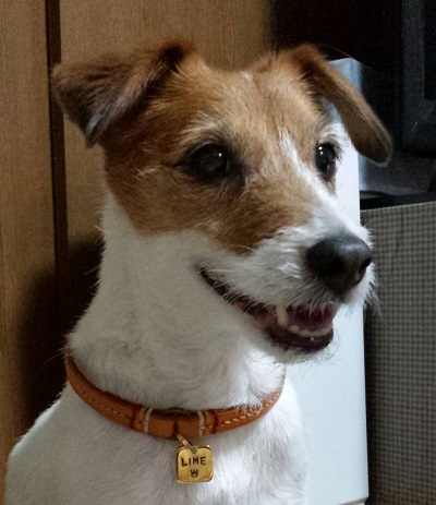 22ライムちゃん400pc-2