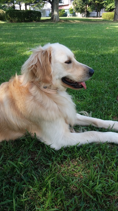 23ライト君500ｐｃ