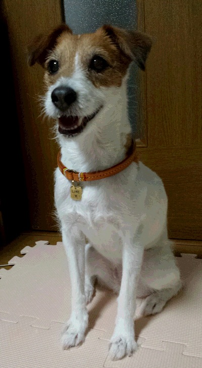 22ライムちゃん400pc-3