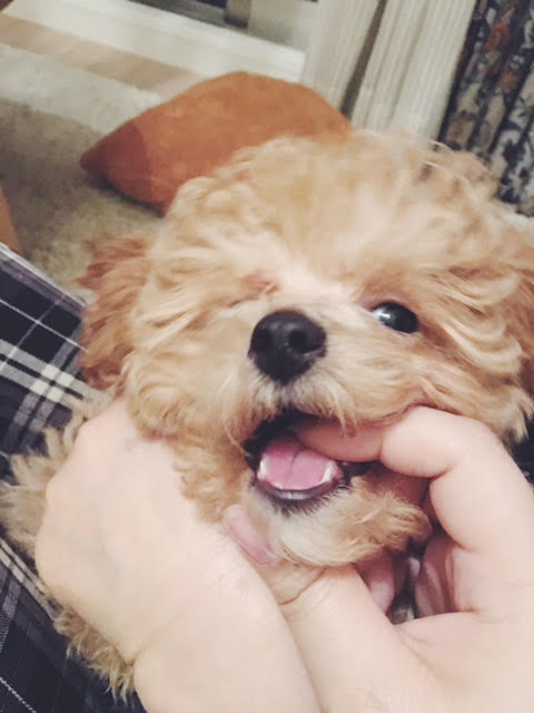 Processed with VSCO with f2 preset