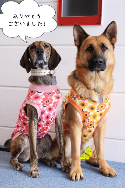 44jありがとうございます２ロビン・ビリー400pc